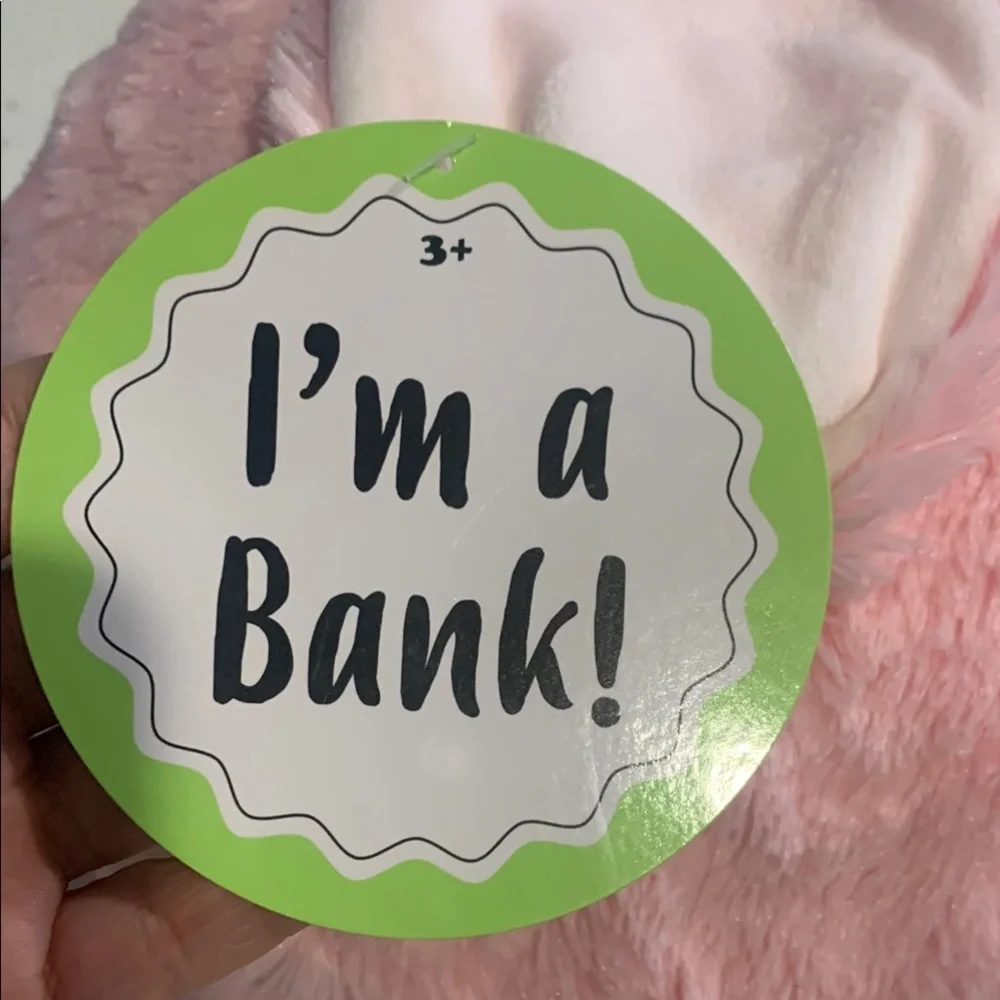 Pink Plush Bunny Bank Toy